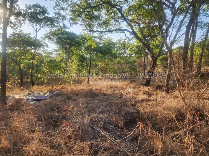 Residential Stand for Sale in Carrick Creagh Estate, Harare