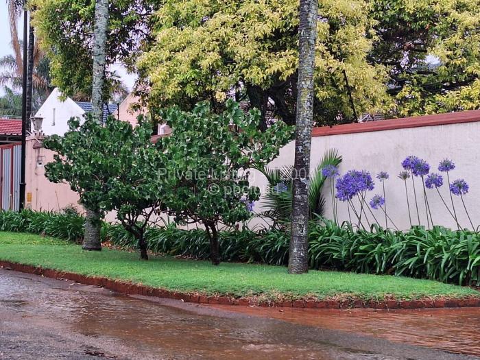 Townhouse/Cluster to Rent in Avondale, Harare