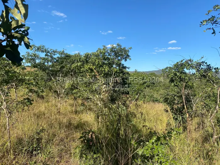 Farm/Plot for Sale in Fern Valley, Mutare
