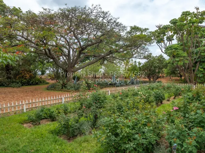 Farm/Plot for Sale in Karoi, Karoi