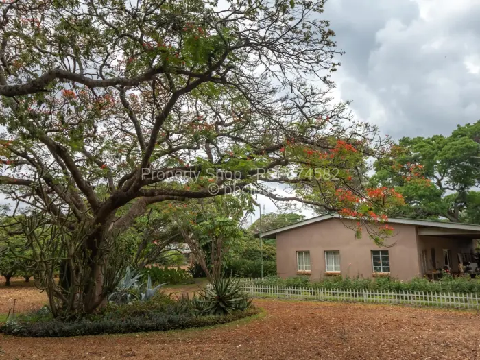 Farm/Plot for Sale in Karoi, Karoi