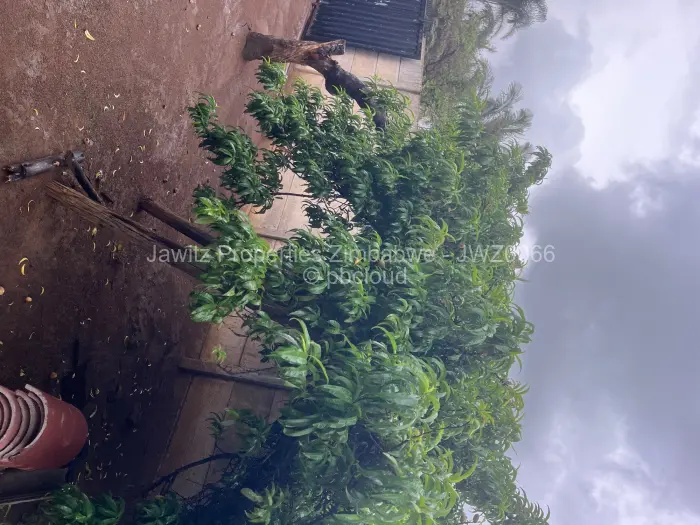 4 Bedroom House for Sale in Bloomingdale, Harare