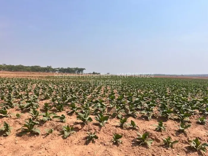 Farm/Plot for Sale in Marondera, Marondera