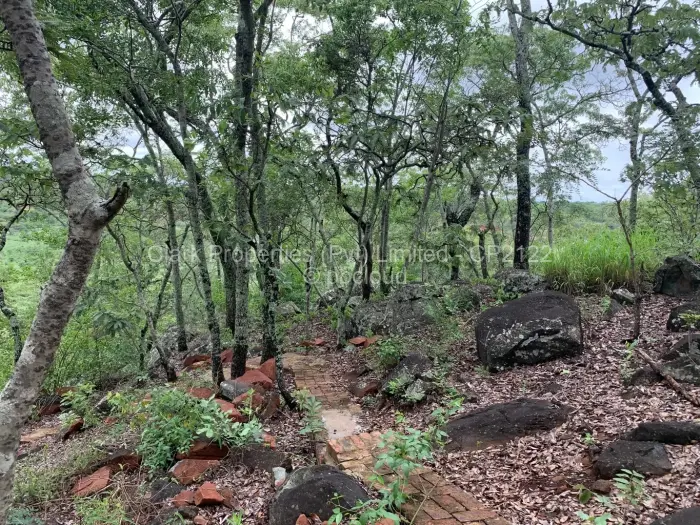 Residential Stand for Sale in Shawasha Hills, Harare