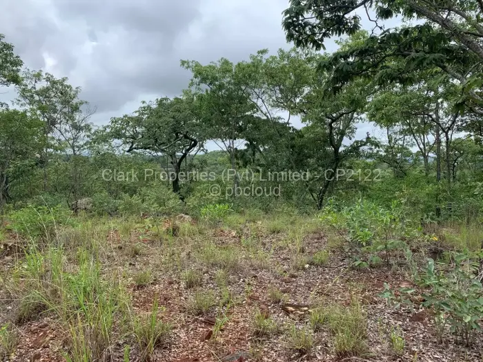 Residential Stand for Sale in Shawasha Hills, Harare