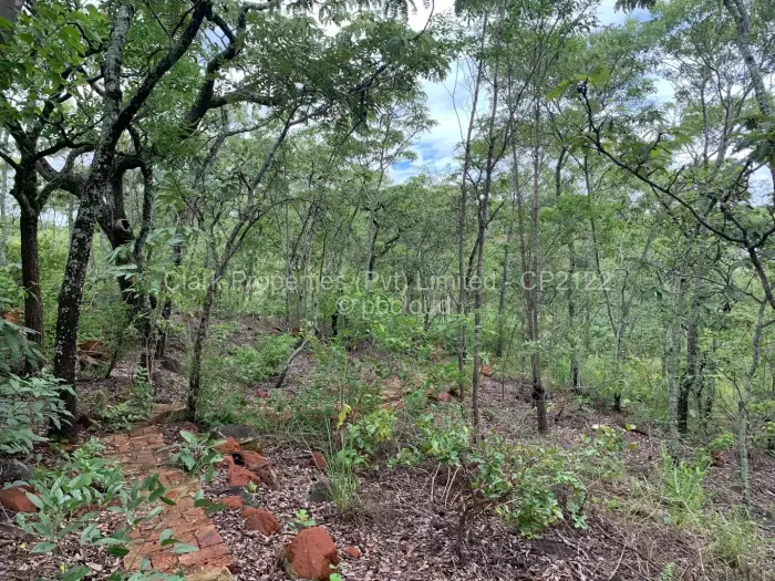 Residential Stand for Sale in Shawasha Hills, Harare