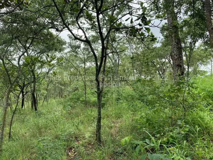 Residential Stand for Sale in Shawasha Hills, Harare