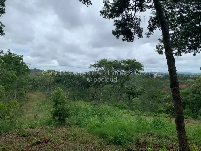 Residential Stand for Sale in Shawasha Hills, Harare