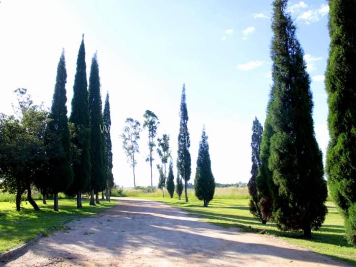 12 Bedroom House for Sale in Spitzkop, Harare