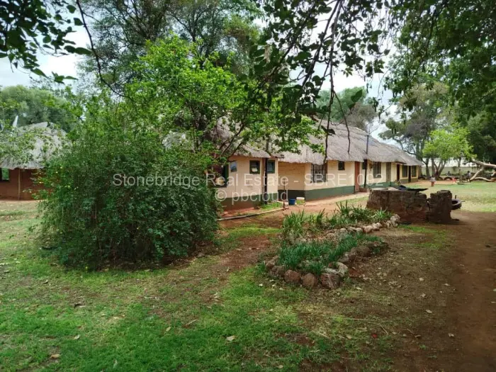 Farm/Plot for Sale in Umguza, Umguza