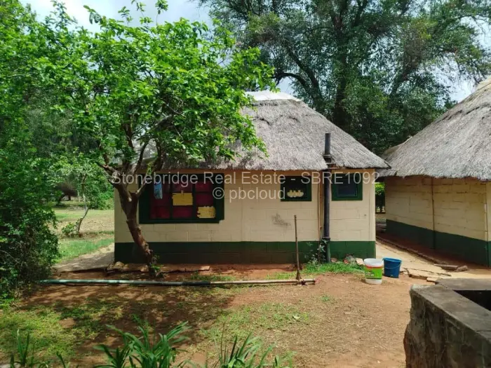 Farm/Plot for Sale in Umguza, Umguza