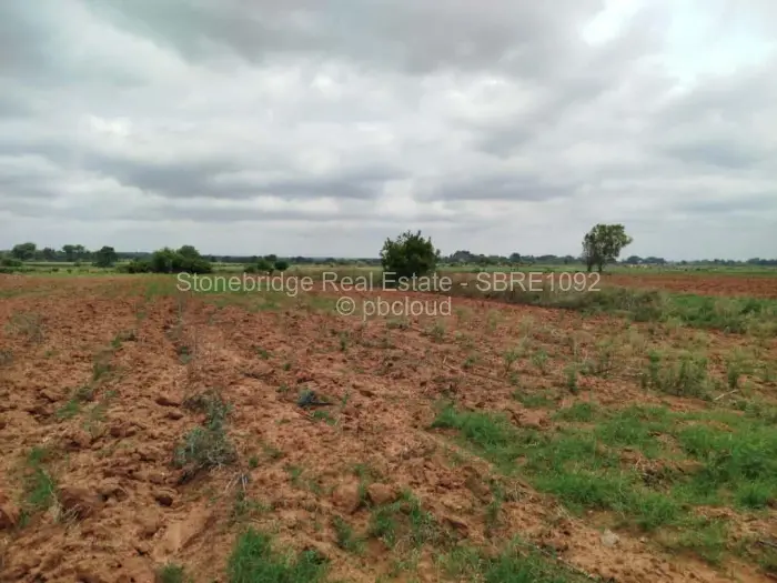 Farm/Plot for Sale in Umguza, Umguza