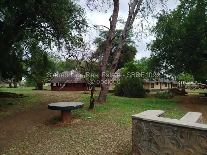 Farm/Plot for Sale in Umguza, Umguza