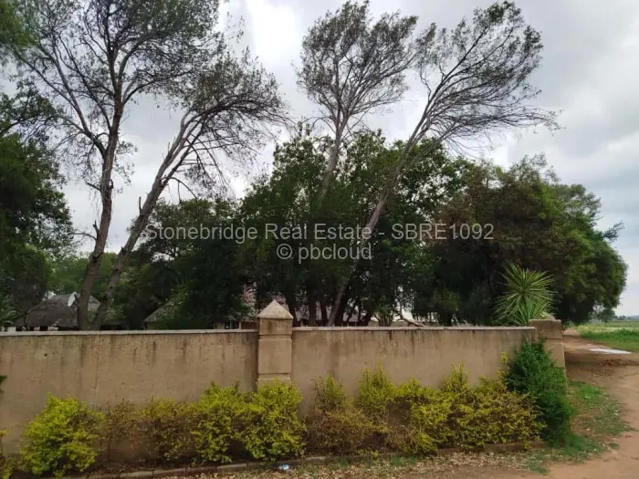 Farm/Plot for Sale in Umguza, Umguza
