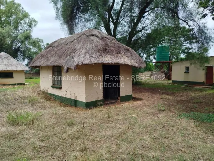 Farm/Plot for Sale in Umguza, Umguza