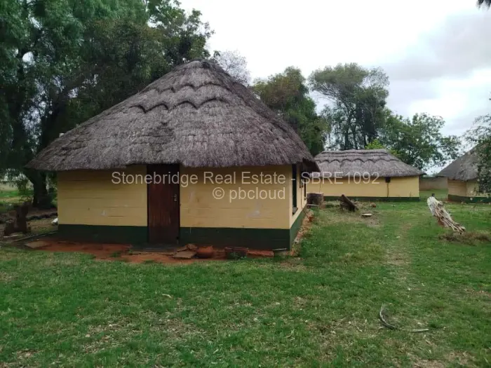 Farm/Plot for Sale in Umguza, Umguza