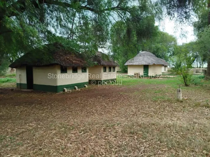 Farm/Plot for Sale in Umguza, Umguza