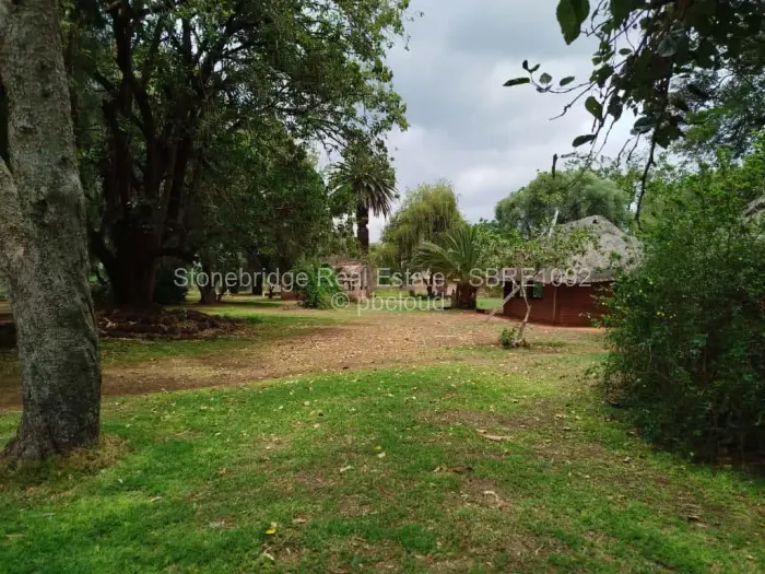 Farm/Plot for Sale in Umguza, Umguza