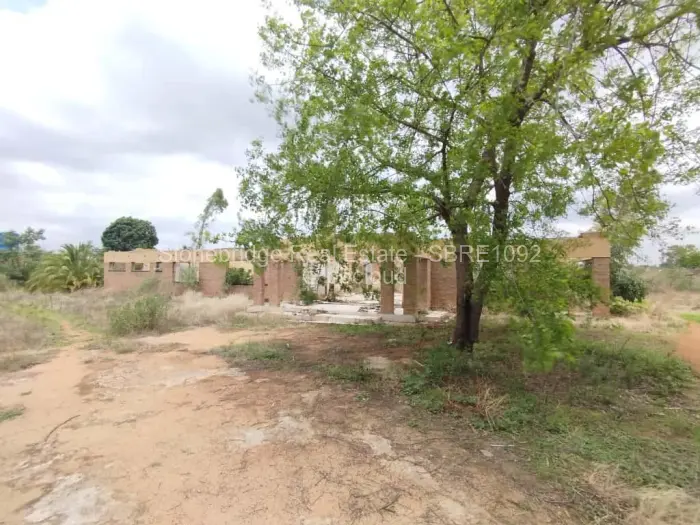 Farm/Plot for Sale in Umguza, Umguza