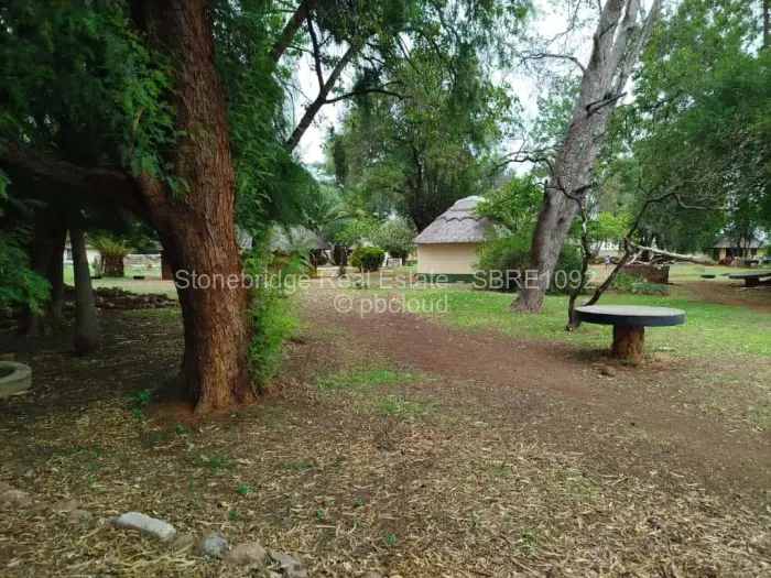 Farm/Plot for Sale in Umguza, Umguza
