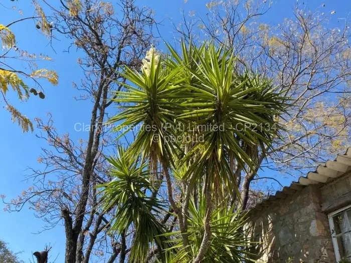 4 Bedroom House for Sale in Burnside, Bulawayo