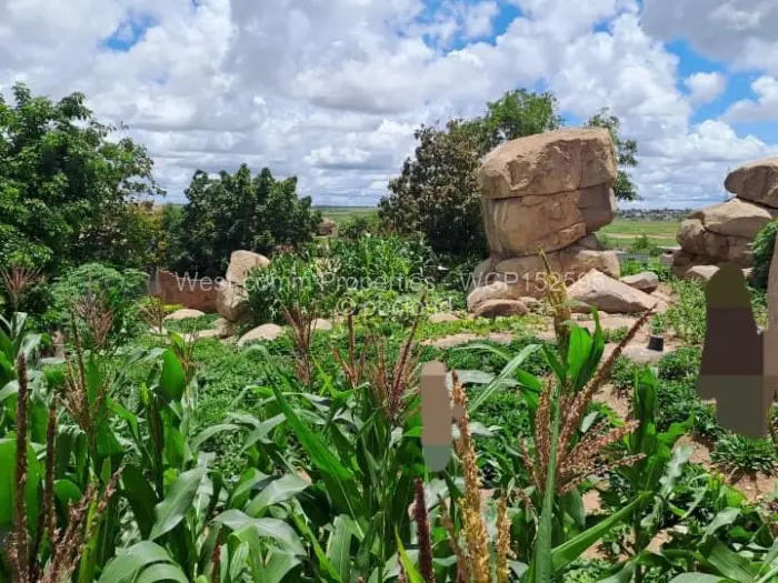 Residential Stand for Sale in Chitungwiza, Chitungwiza