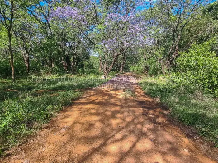 1 Bedroom House for Sale in Burnside, Bulawayo