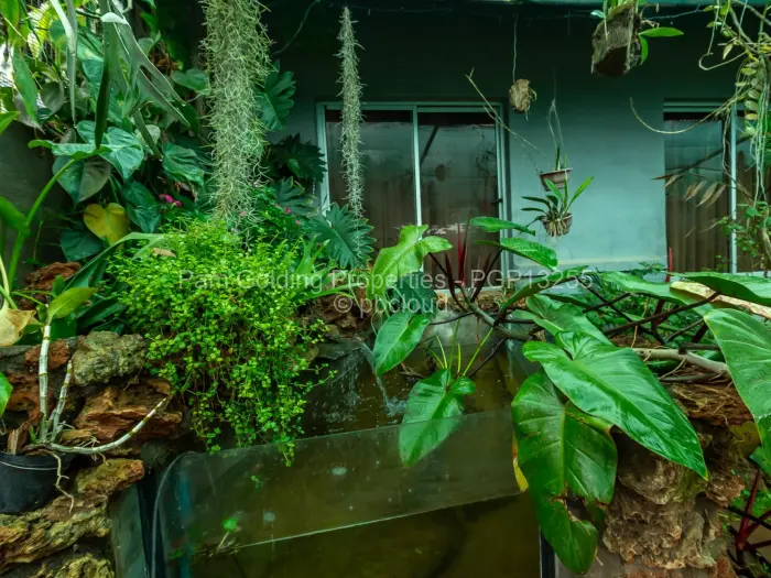 4 Bedroom House for Sale in Upper Hillside, Harare