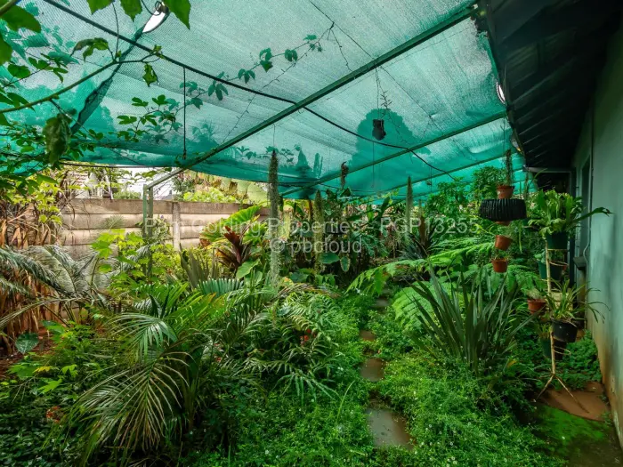 4 Bedroom House for Sale in Upper Hillside, Harare