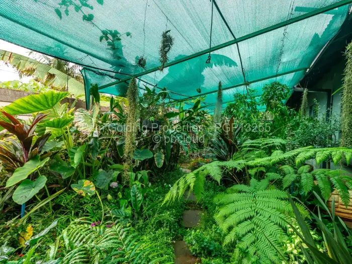 4 Bedroom House for Sale in Upper Hillside, Harare