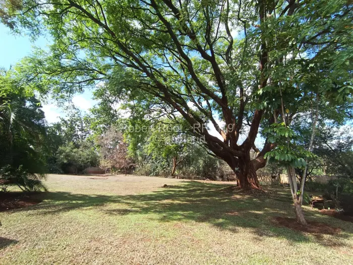 4 Bedroom House to Rent in Rolf Valley, Harare