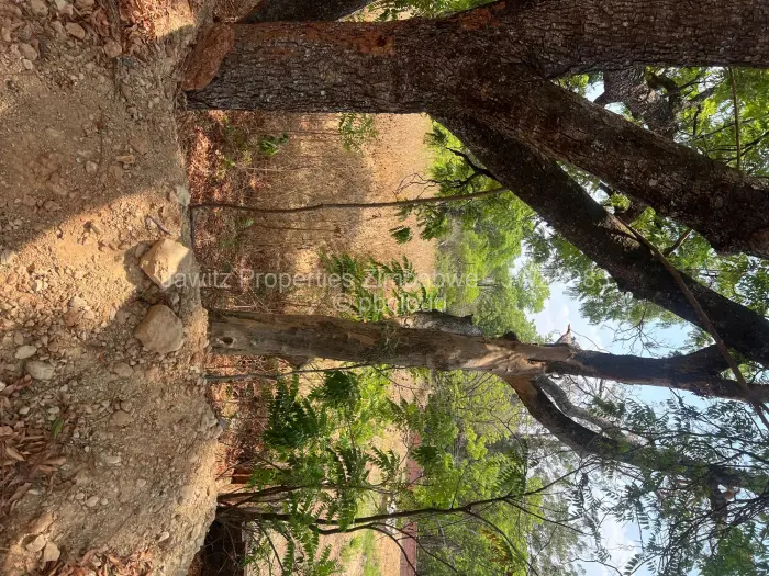 Farm/Plot for Sale in Umwinsidale, Harare