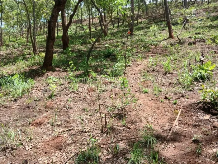 Residential Stand for Sale in Shawasha Hills, Harare