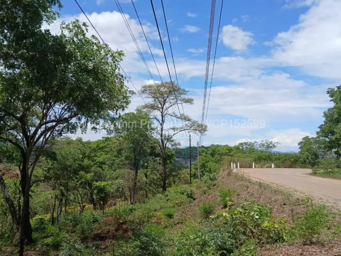 Residential Stand for Sale in Shawasha Hills, Harare