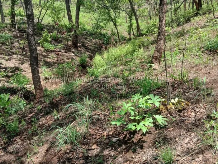 Residential Stand for Sale in Shawasha Hills, Harare