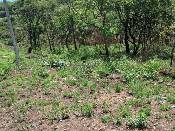 Residential Stand for Sale in Shawasha Hills, Harare