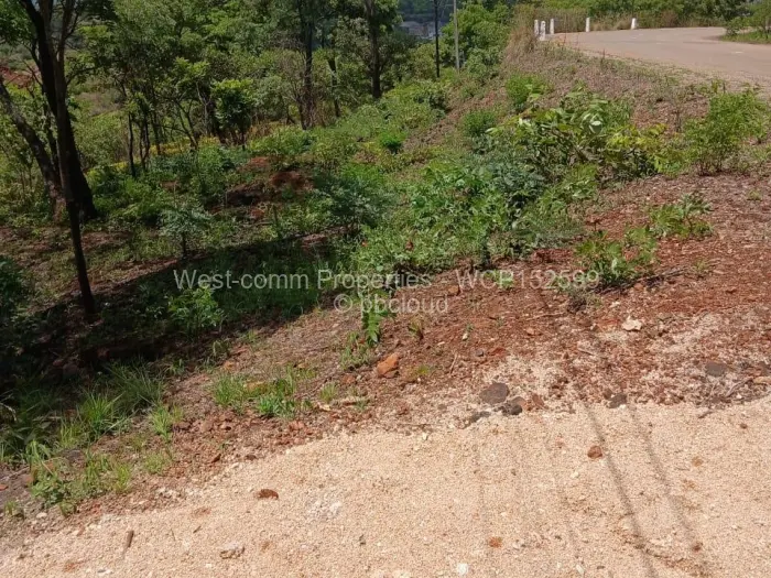 Residential Stand for Sale in Shawasha Hills, Harare