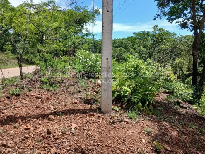 Residential Stand for Sale in Shawasha Hills, Harare