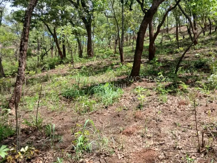 Residential Stand for Sale in Shawasha Hills, Harare