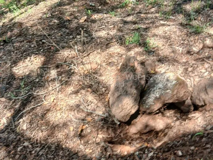 Residential Stand for Sale in Shawasha Hills, Harare