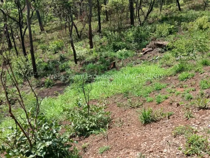 Residential Stand for Sale in Shawasha Hills, Harare