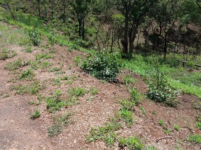 Residential Stand for Sale in Shawasha Hills, Harare