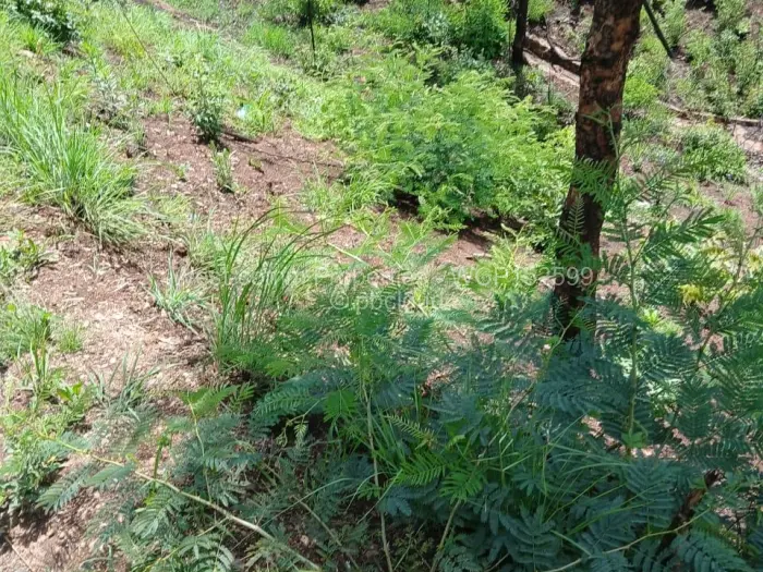 Residential Stand for Sale in Shawasha Hills, Harare