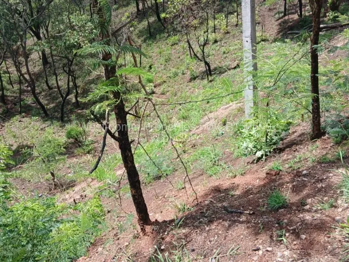 Residential Stand for Sale in Shawasha Hills, Harare