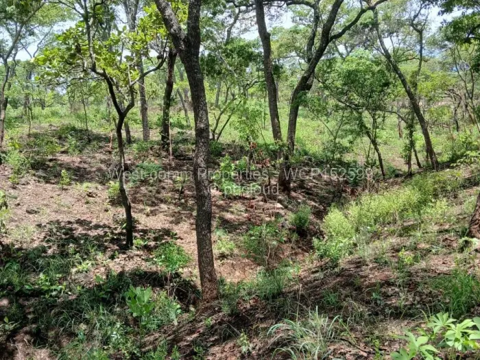 Residential Stand for Sale in Shawasha Hills, Harare