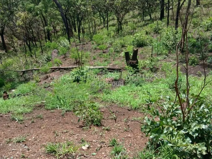 Residential Stand for Sale in Shawasha Hills, Harare