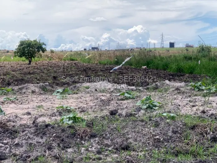 Industrial Stand for Sale in Sunway City, Harare