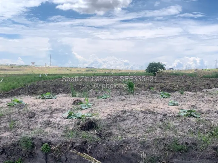 Industrial Stand for Sale in Sunway City, Harare