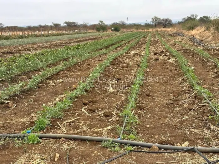 Farm/Plot for Sale in Harben park, Gweru