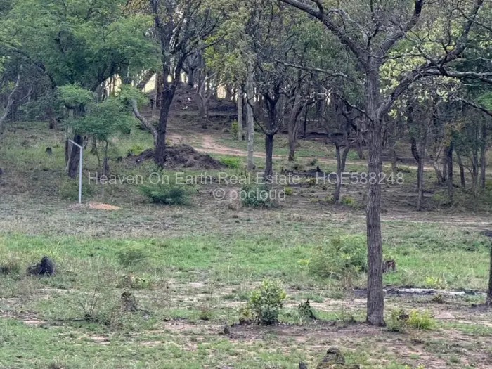 Farm/Plot for Sale in Selous, Selous